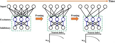 Unsupervised Adaptive Weight Pruning for Energy-Efficient Neuromorphic Systems